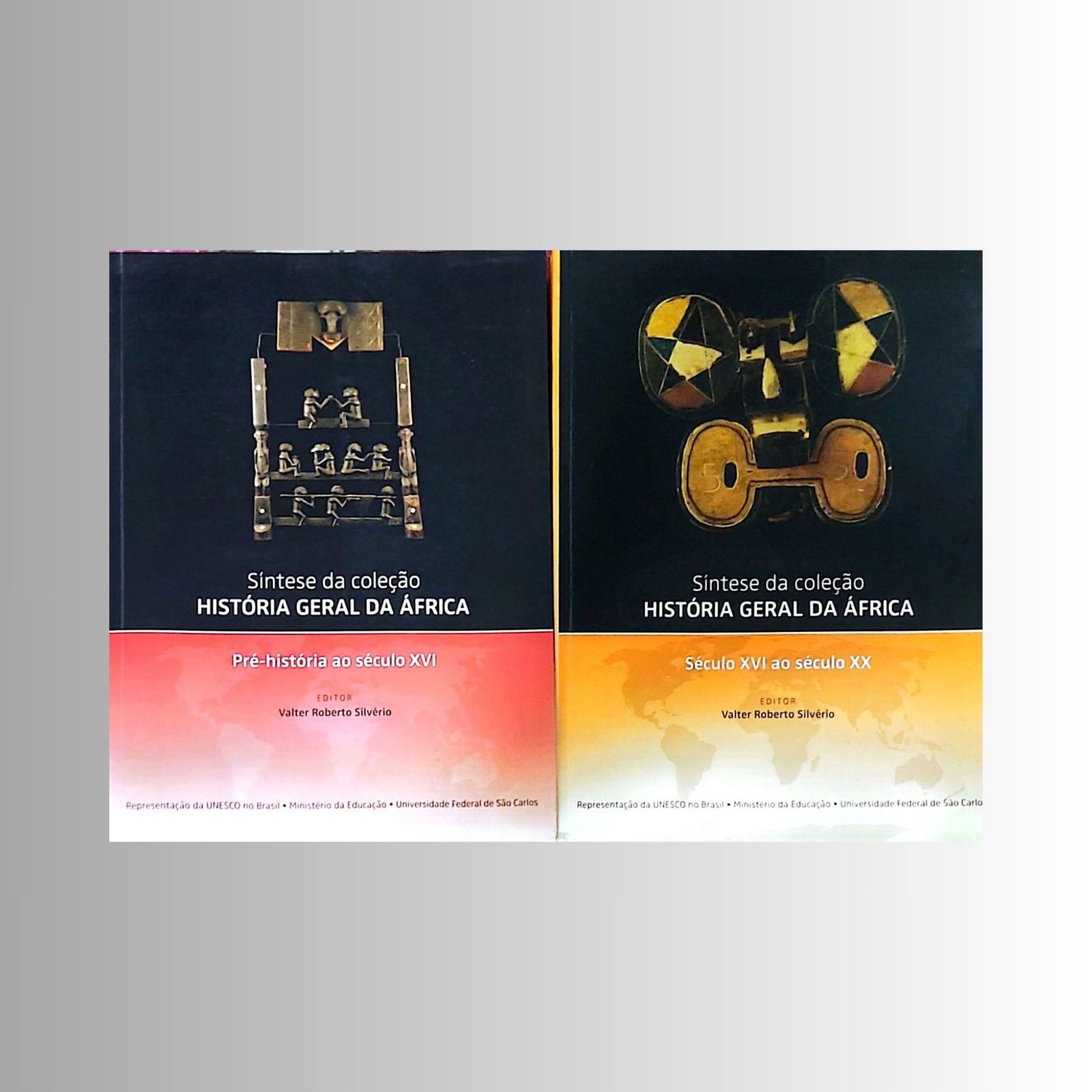 Capas dos livros Síntese da Coleção História Geral da África: Pré-história ao Século XVI e Século XVI ao Século XX, de Valter Roberto Silvério, em excelente estado de conservação, fotografadas lado a lado.