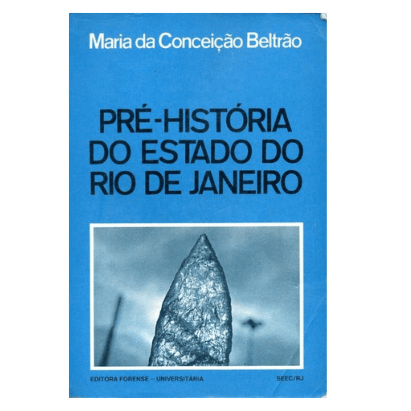 Livro 